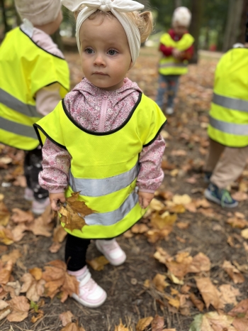 IMG_5384.jpeg